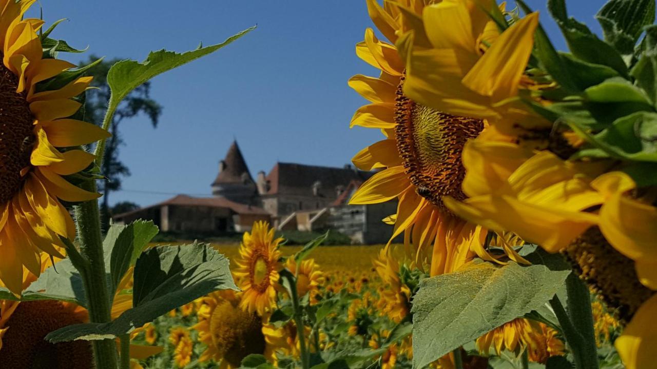Lpc Dordogne Holidays - Le Petit Coin Lussas-et-Nontronneau Exterior photo
